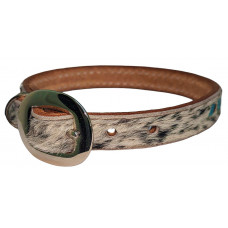 COWHIDE LEATHER w/ TURQUOISE LACE DOG COLLAR