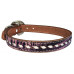 PURPLE GATOR / WHITE LACE DOG COLLAR