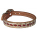 SAND FLORAL / RED LACE DOG COLLAR