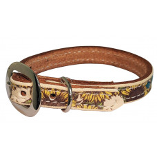 SUNFLOWER/ TURQUOISE LACE DOG COLLAR