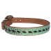TURQUOISE GATOR / BLACK LACE DOG COLLAR