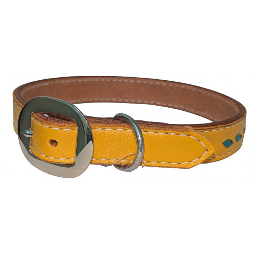 BANANA YELLOW PREMIUM LEATHER w/ TURQUOISE LACE DOG COLLAR