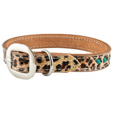 CHEETA / TURQUOISE LACE DOG COLLAR