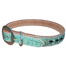 TURQUOISE GATOR / BLACK LACE DOG COLLAR