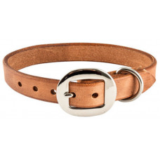 HARNESS LEATHER DOG COLLAR