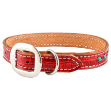 RED GATOR / TURQUOISE LACE DOG COLLAR