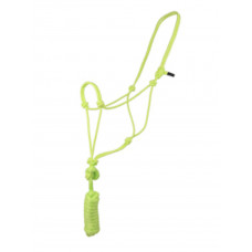 91061-Lime
