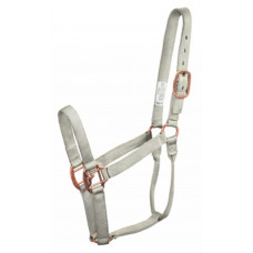 96500-Silver