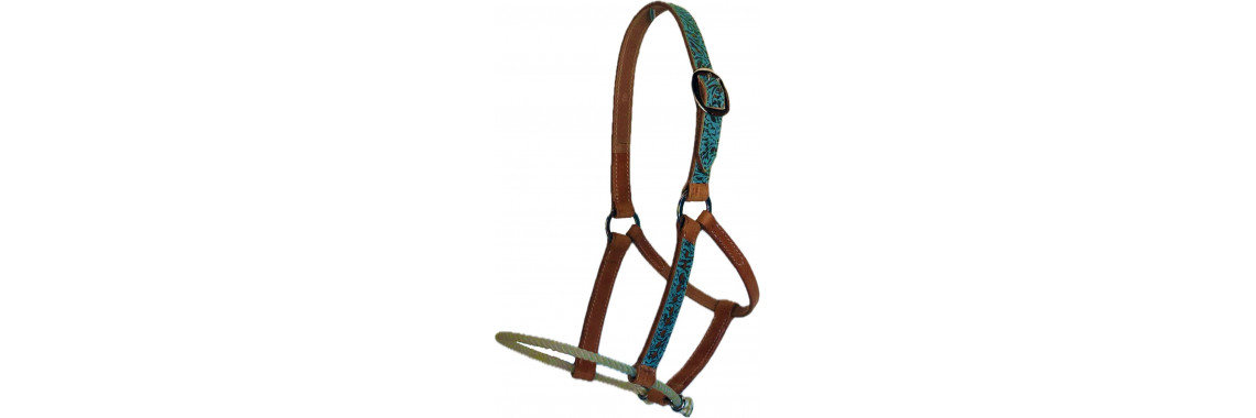 Rope nose leather halter with Turq floral & buck stitch