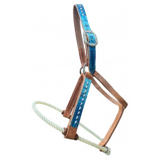 H10-2BS- OCEAN BLUE GATOR H10-2BS- OCEAN BLUE GATOR