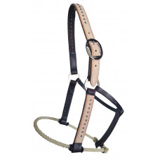 H10-RSP25-C- Chocolate halter w/Rough out & cowboy dots