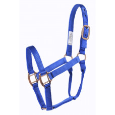 96500-Blue