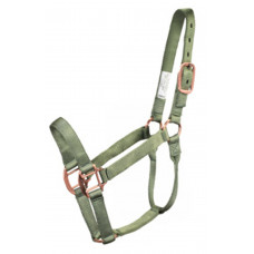 96500-Cypress green