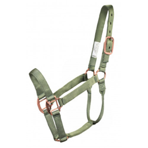 96500-Cypress green