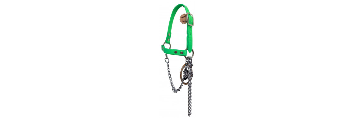 show sheep halter