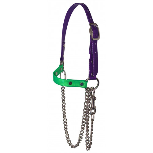 RSH75- Purple-Lime