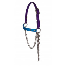 RSH75- Purple-Turquoise