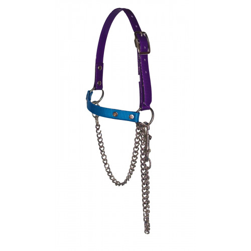 RSH75- Purple-Turquoise