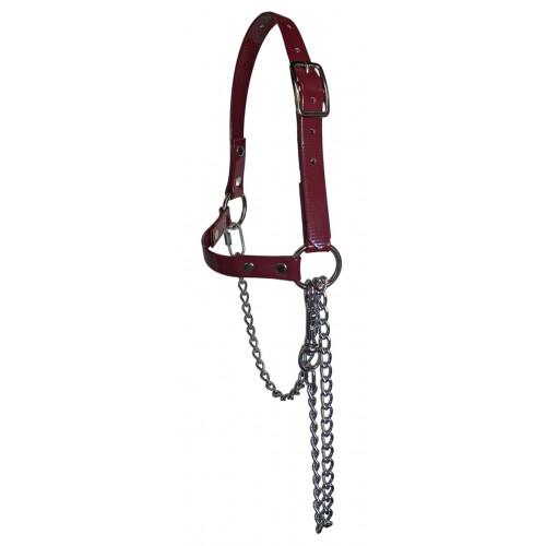 RSH75- Burgundy