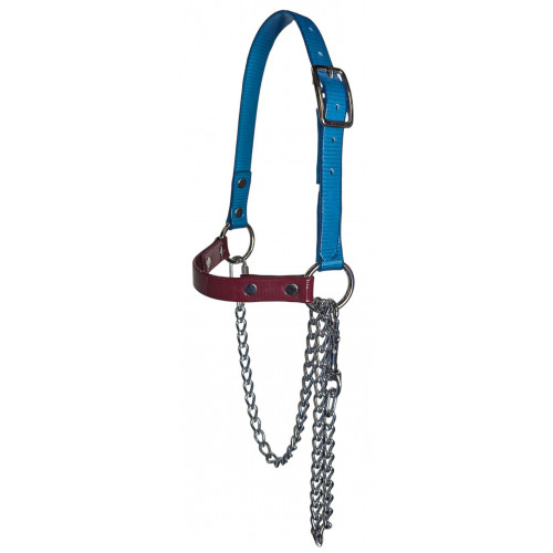 RSH75- Turquoise- Burgundy