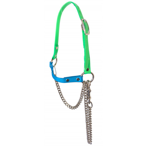 RSH75- Lime-Turquoise
