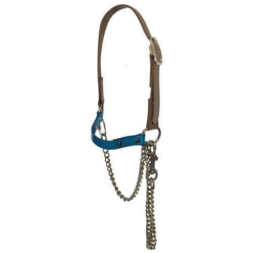 RSH75- Tan- Turquoise