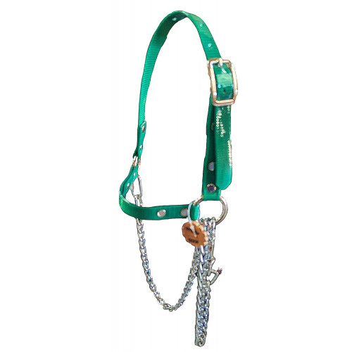 RSH75- Green RSH75- Green