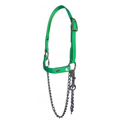 RSH75- Lime