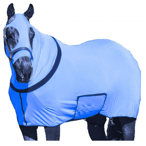 FBS001-TURQUOISE STANDARD